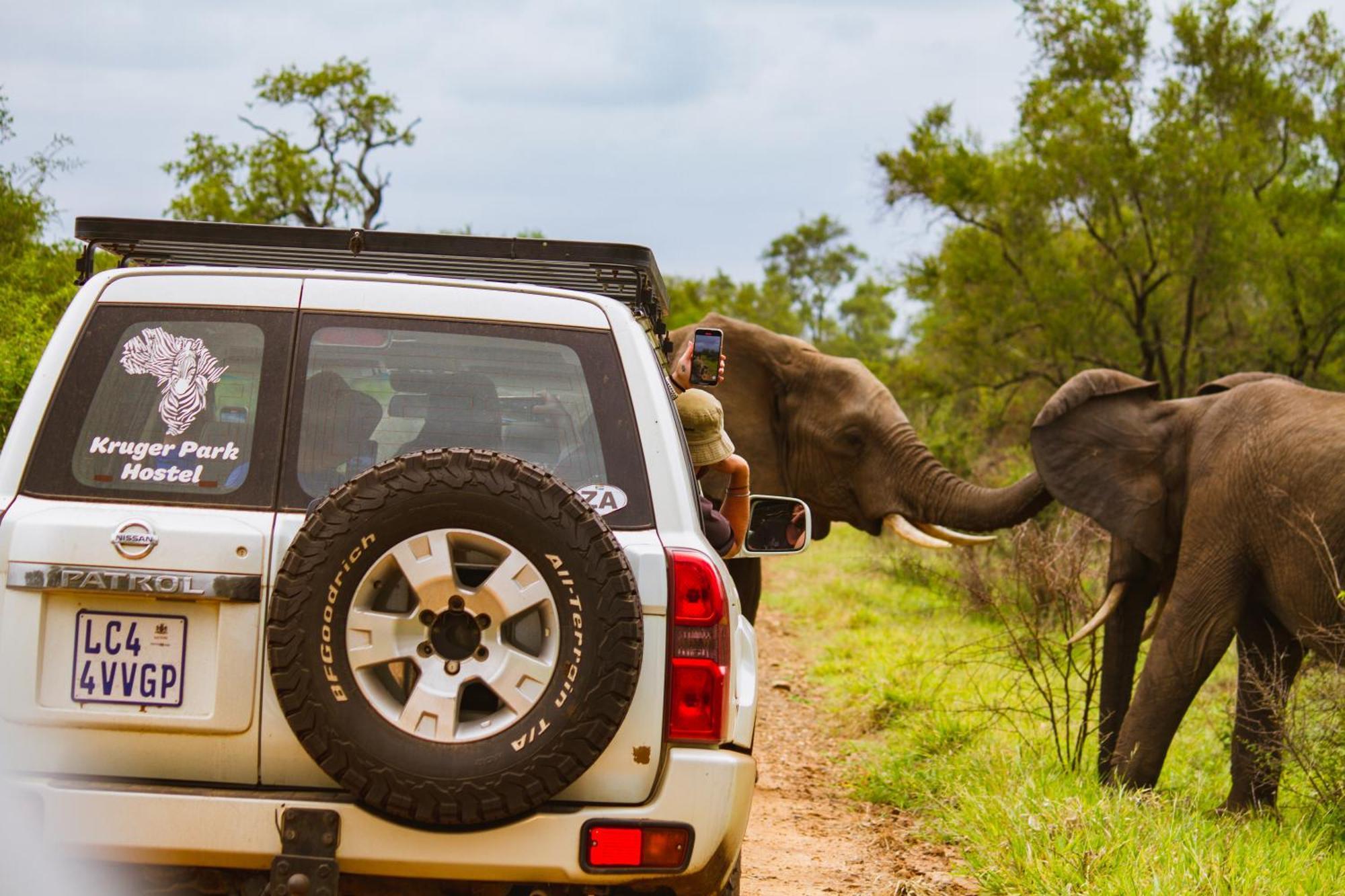 Kruger Park Hostel Marloth Park Eksteriør billede