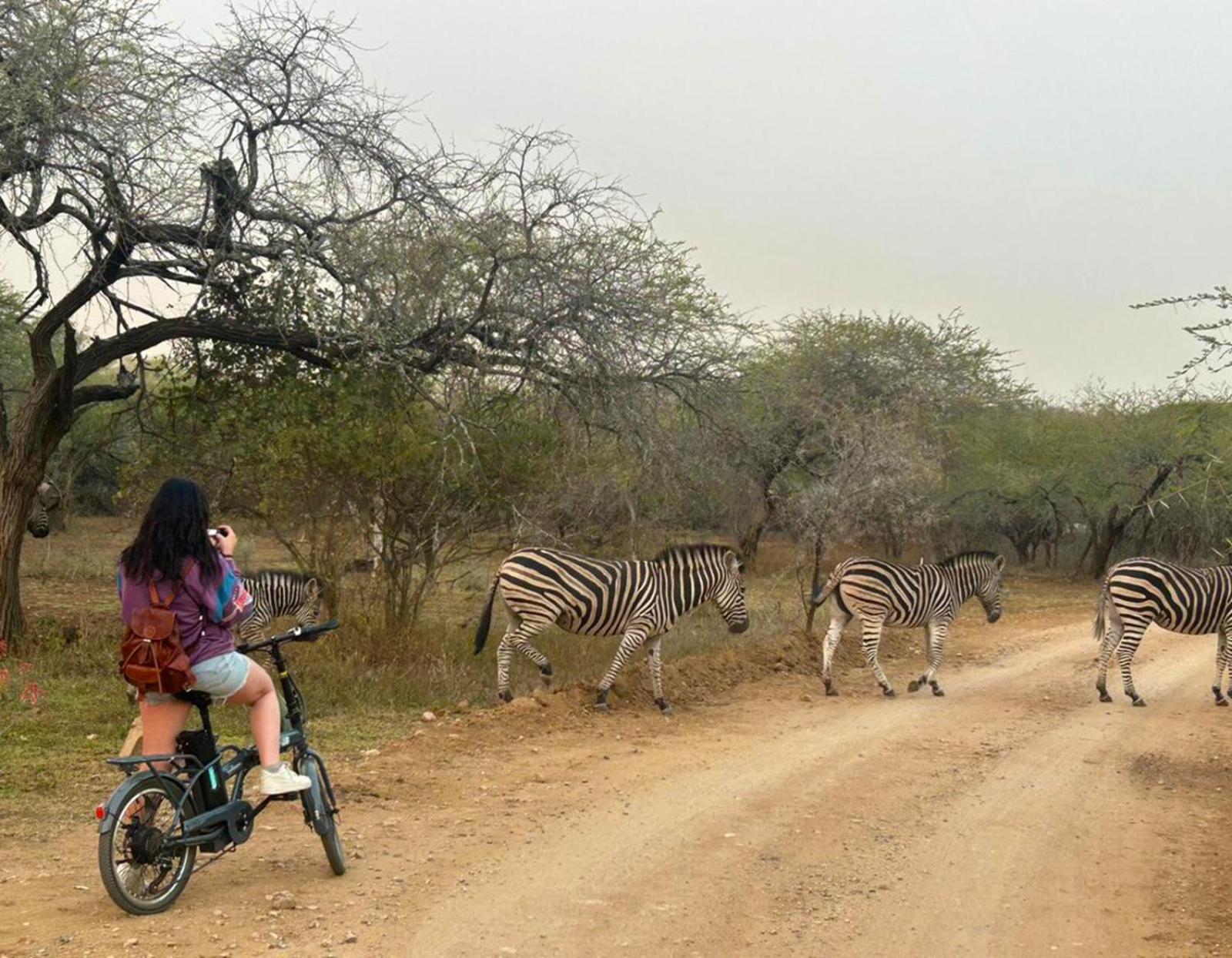 Kruger Park Hostel Marloth Park Eksteriør billede